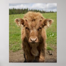 Search for agriculture art Front view