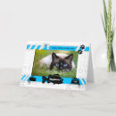 Search for from cat mothers day cards Cats