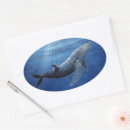 Search for whale illustration stickers Nautical