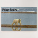 Search for polar bear puzzles Endangered species