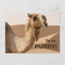 Search for good looking postcards Funny