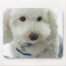 Search for animal collar mousepads Dog