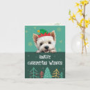 Search for west highland white terrier christmas cards Santa