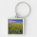 Search for remote key rings North america