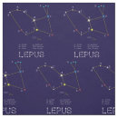 Search for constellation fabric Universe
