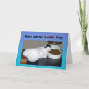 Search for funny cat sayings postcards Animals