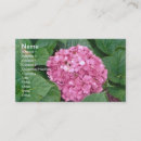 Search for hydrangea business cards Flower