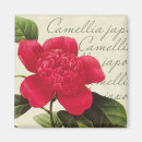 Search for redoute magnets Flower