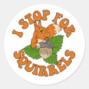Search for round squirrel stickers Cute