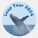 Search for leap year stickers Birthday