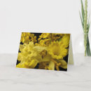 Search for daffodils mothers day cards Narcissus