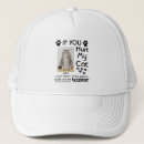Search for paws hats Cats