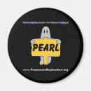 Search for paranormal magnets Hunter