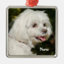 Search for maltipoo christmas tree decorations Pet