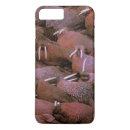 Search for gavriel jecan electronics Animal