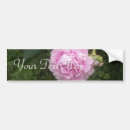 Search for peonies bumper stickers Flower