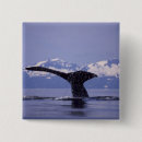 Search for stuart westmorland badges Ocean