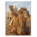 Search for caravan notebooks Camel