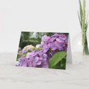 Search for purple mothers day cards Hydrangea