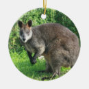 Search for kangaroo christmas tree decorations Marsupial