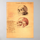 Search for anatomical art Bones