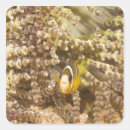 Search for sealife stickers Nature