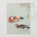 Search for mandarin postcards Duck