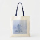 Search for arctic accessories Nature