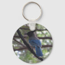 Search for stellar key rings Blue