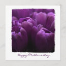 Search for mother photography Trendy