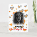 Search for dashund cards Wiener