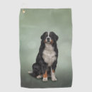 Search for bernese mountain dog golf equipment Cute