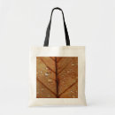 Search for ecology bags Environment