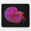 Search for fighting fish mousepads Aquarium