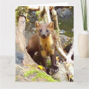 Search for fallen tree postcards Wildlife