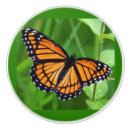 Search for knobs and pulls Hardware