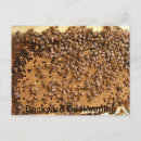 Search for beekeeper postcards Beekeeping
