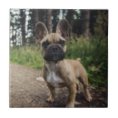 Search for french bulldog tiles Pet