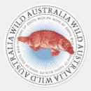 Search for platypus stickers Duck billed platypus