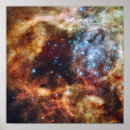 Search for doradus posters Stars