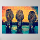 Search for safari animals posters Nature