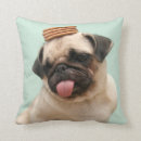 Search for train cushions Puppy