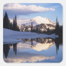 Search for mt rainier stickers Nature