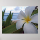 Search for beach shore posters Maui