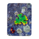 Search for abundance magnets Botanical