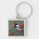 Search for adam jones key rings Nature