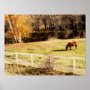Search for farm animals art Western