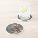 Search for highland cow coasters Calf