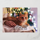 Search for furry and bright christmas cards Funny