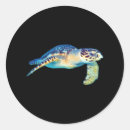 Search for sea turtle art stickers Swimming